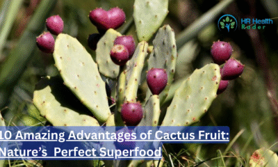 10 Amazing Advantages of Cactus Fruit: Nature’s Perfect Superfood