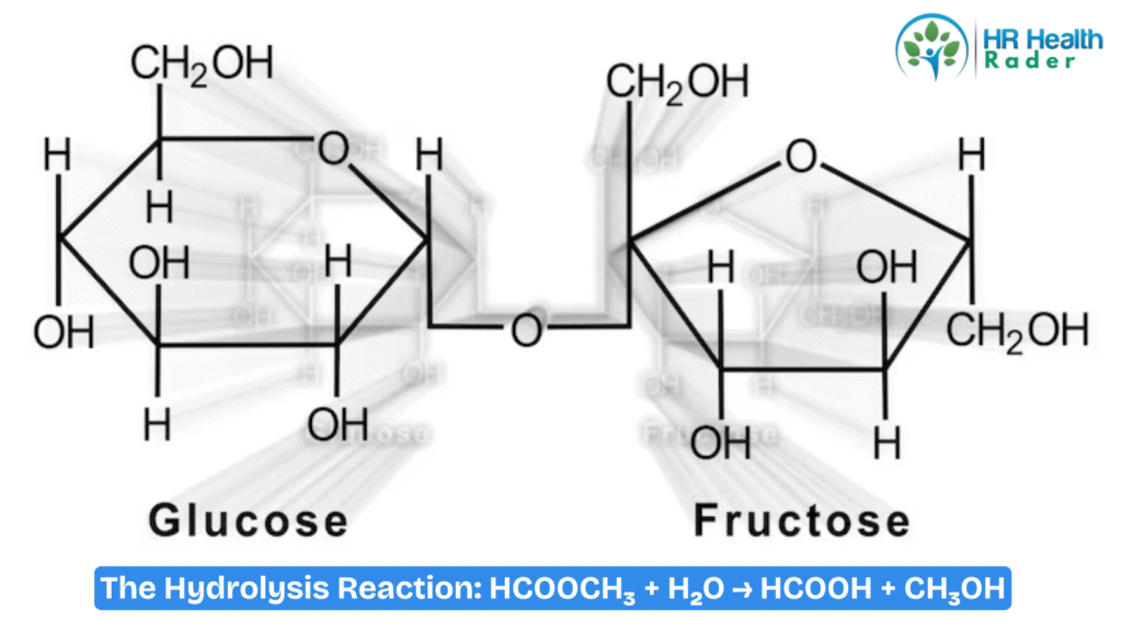 The Hydrolysis Reaction: HCOOCH₃ + H₂O → HCOOH + CH₃OH